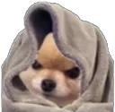 jesustopfuckingtaggingmeBOYE