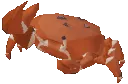 crabby