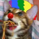 catthehe