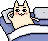 catbed catbed