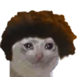 TriCat