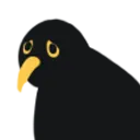 birdsigh birdsigh