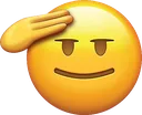 salute