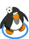 penguinsoccer