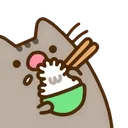 riceCat riceCat