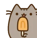 iceCreamCat iceCreamCat