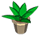 :plant: Discord Emote