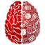 cerenovus cerenovus