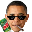 MLGobama