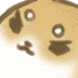 :angrydog: Discord Emote