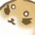 angrydog angrydog