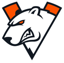 team_Virtuspro Discord emoji