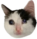 Sadmo