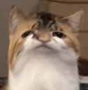 BuyMyBeans