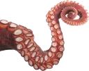 tentacleright