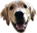 jimsmile