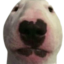 LcoTeVoyAHacerLasFollaciones Discord emoji
