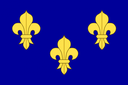 france Discord emoji