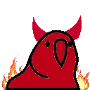 devilparrot