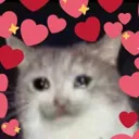 lovekitty