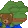 pepeL