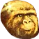 jimmiesGOLD