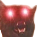 catglow catglow