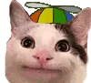 cathat