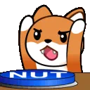 NUTDog