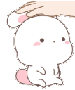 bunnypat