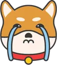 cryingshibe