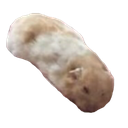:ompeesleep: Discord Emote