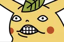 pikaBruh