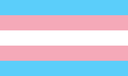 transrights Discord emoji