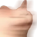 blurcat