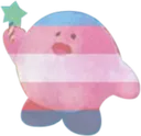 kirbtrans kirbtrans