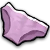 panties