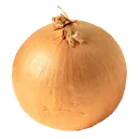 onion