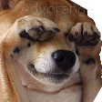 seenoevil Discord emoji
