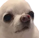 concern