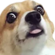 doggysweg