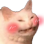 :CattoBlush~1: