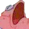 PatNut