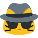 meowspy
