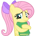 shyflutter