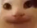 theres_shid_everywhere theres_shid_everywhere