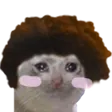 TriCatBlush