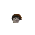 TinyCat