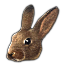 daisy Discord emoji