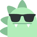 zsunglasses